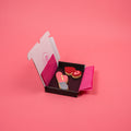 Saucy Gadgets Iced Biscuit Box – Small