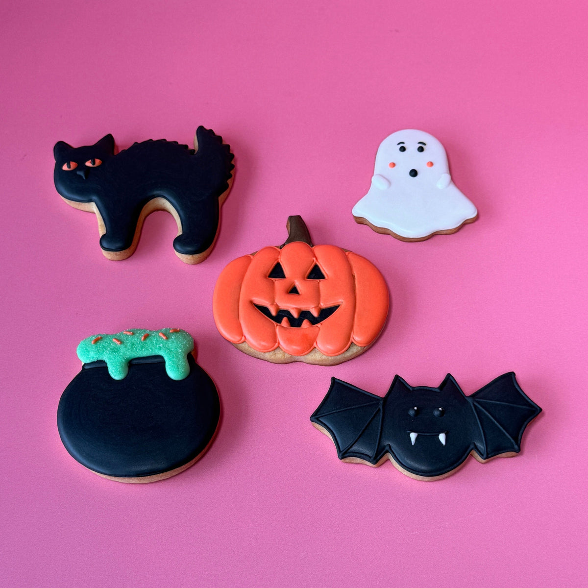 Biscuit Decorating Class